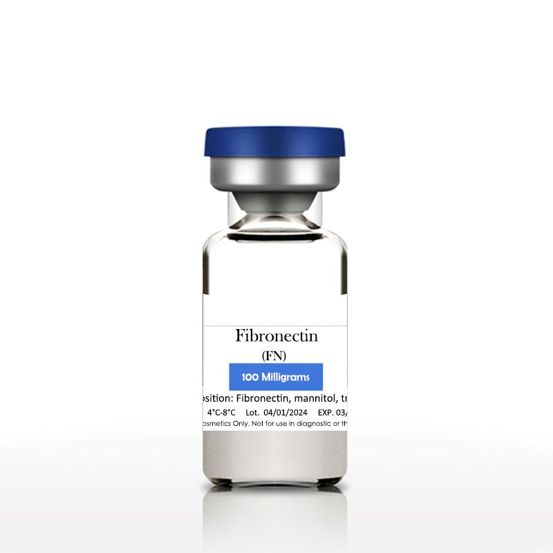 Fibronectin (FN)