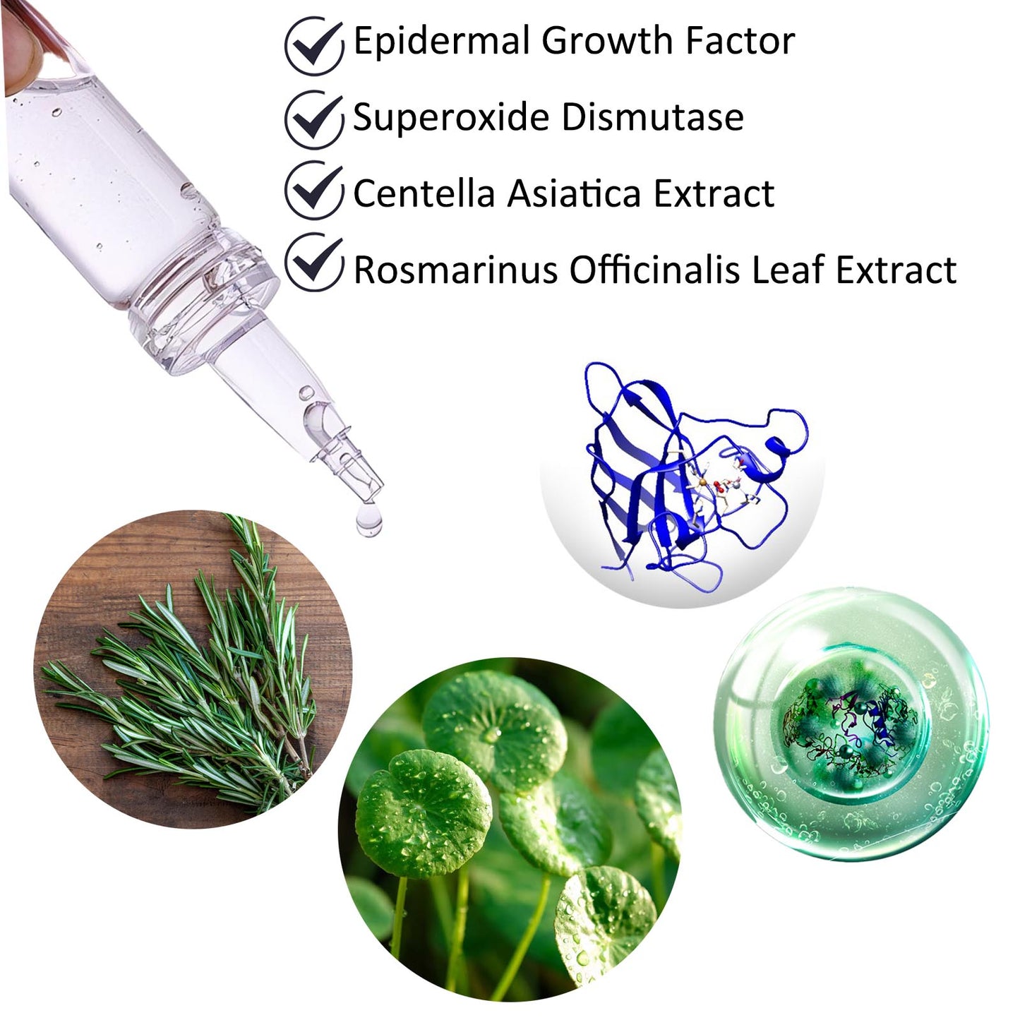 Revitalizing EGF Freeze-Dried Powder Set - Advanced Bioactive Peptide Serum