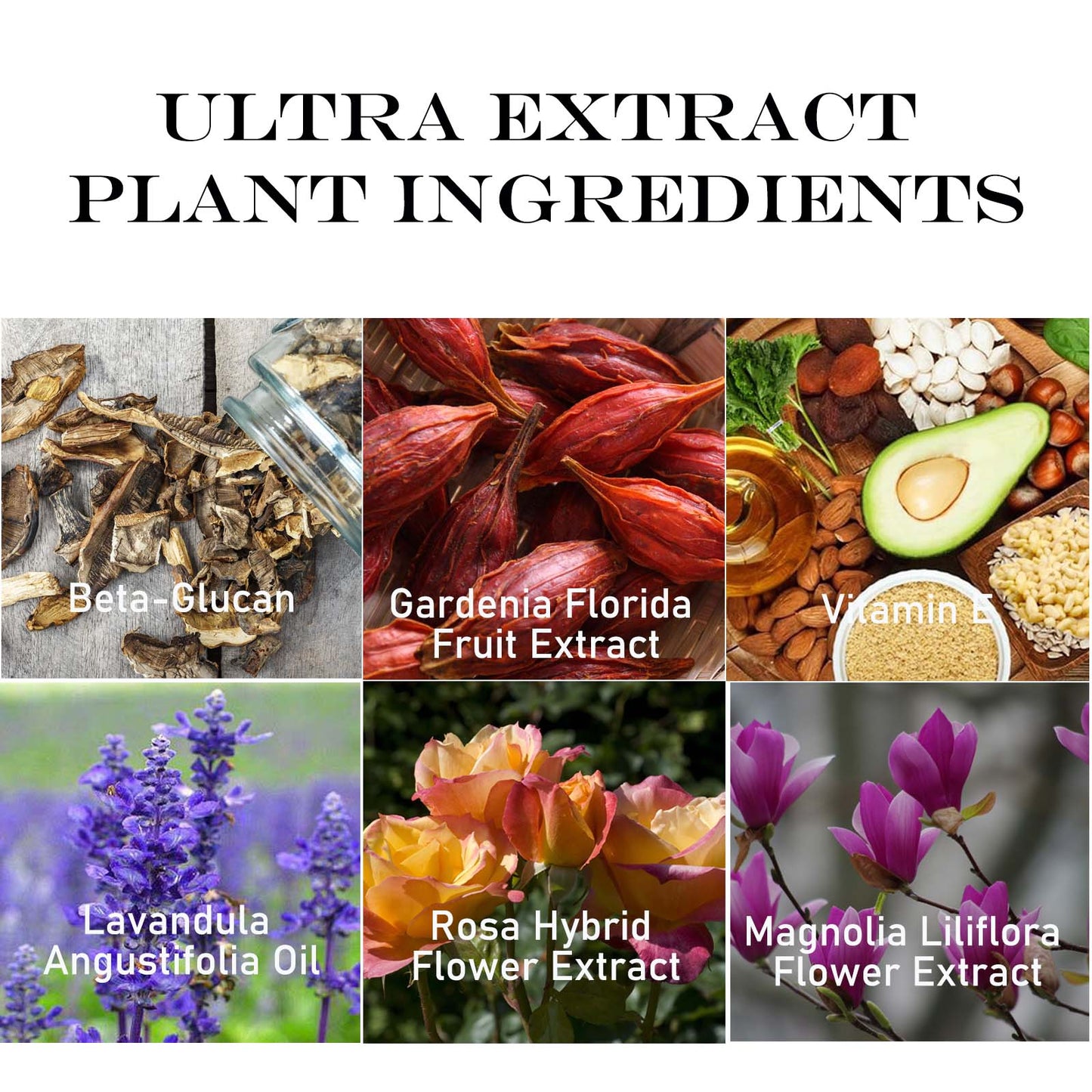 Refined Skin Care Moisturizer Essence