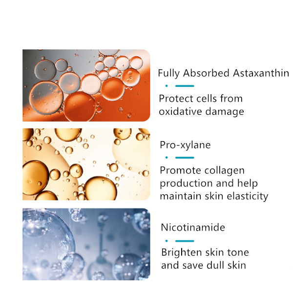 Ocean Freeze-Dried Powder Set